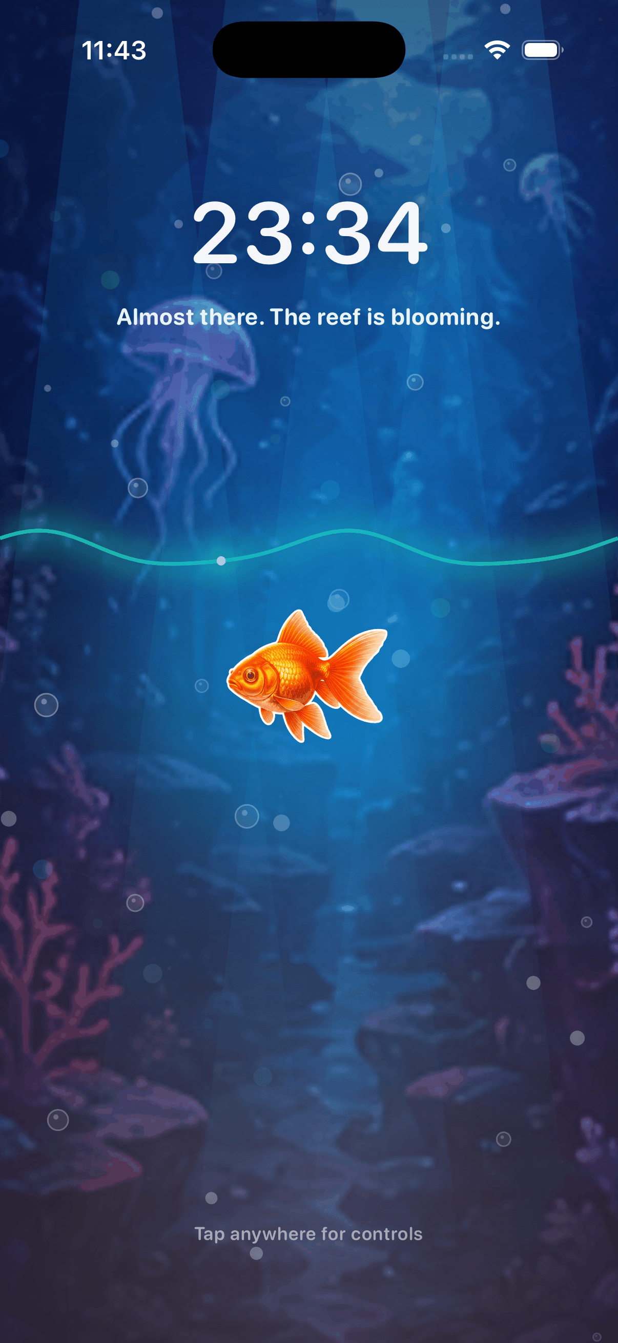 The reef is blooming